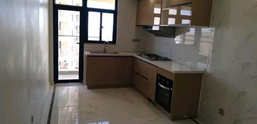 Three bedroom plus dsq apartment for rent in syokimau 90k per month