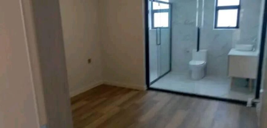 Three bedroom plus dsq apartment for rent in syokimau 90k per month