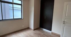 Classy two and three bedroom apartment for rent and sale at kitusuru