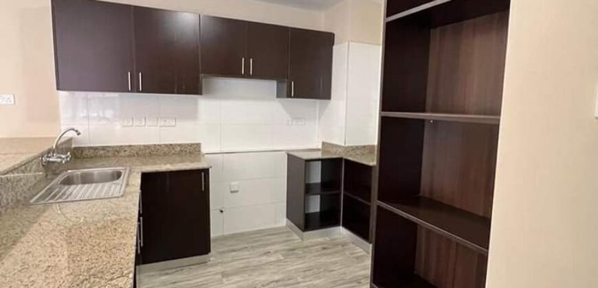 Classy two and three bedroom apartment for rent and sale at kitusuru