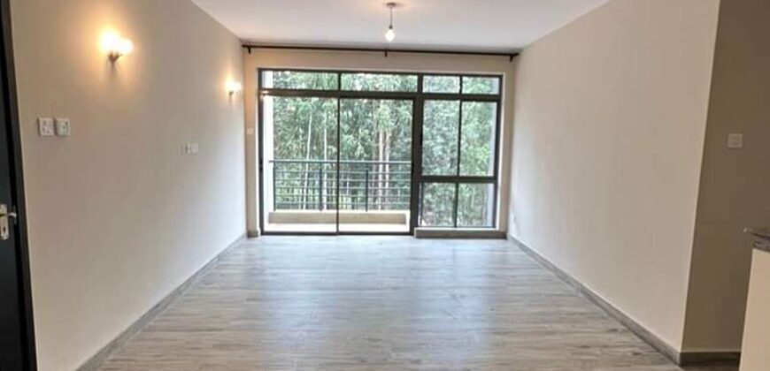 Classy two and three bedroom apartment for rent and sale at kitusuru